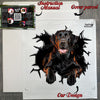 Protective packaging package containing the Black Labrador car decal and clear instructions.