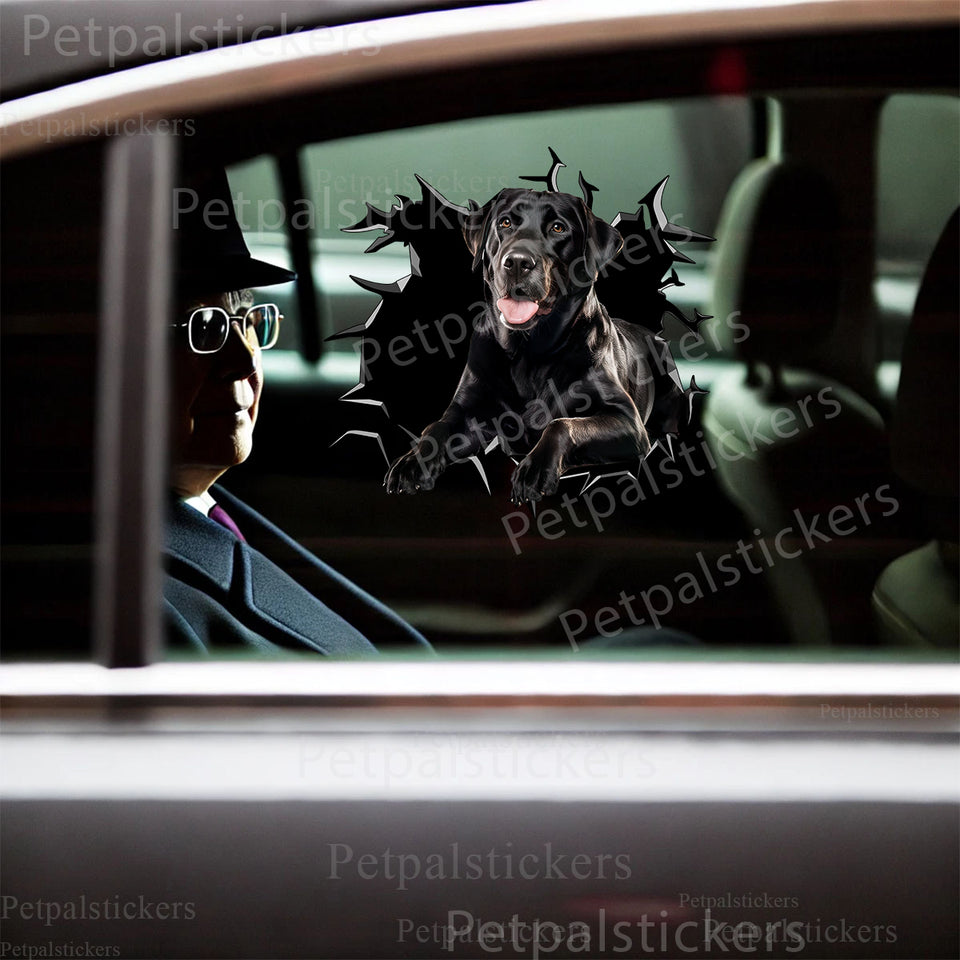 Glossy Black Labrador Retriever decal displayed neatly on a smooth car door exterior.