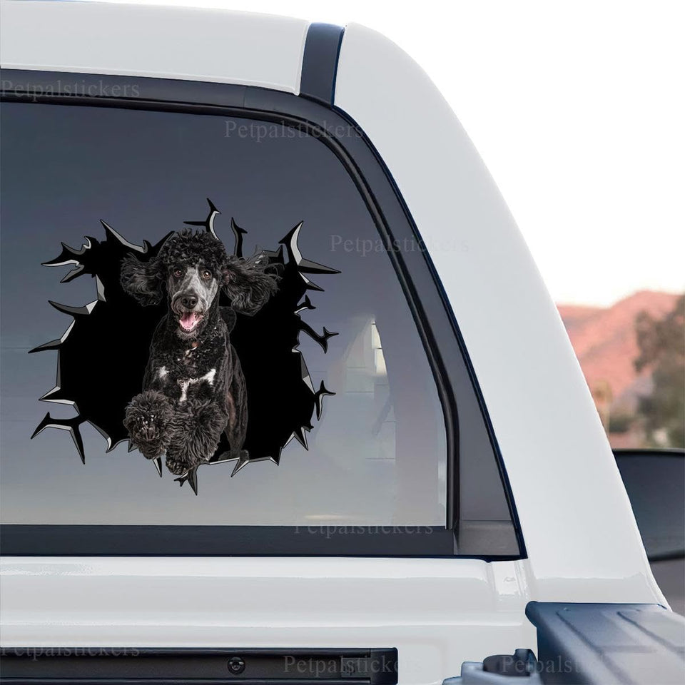 Vibrant Black Poodle cracked glass standalone product design sticker with rich details.