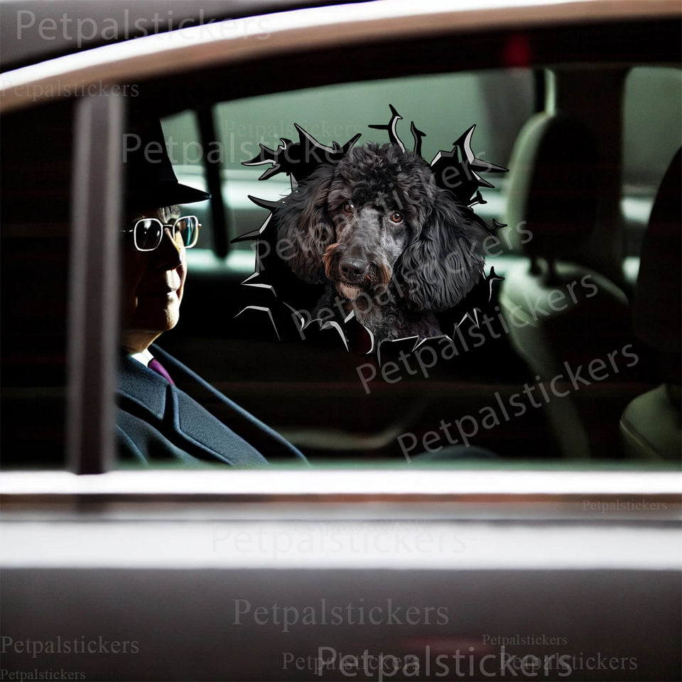 Glossy Black Poodle graphic decal displayed neatly on a white car door exterior.