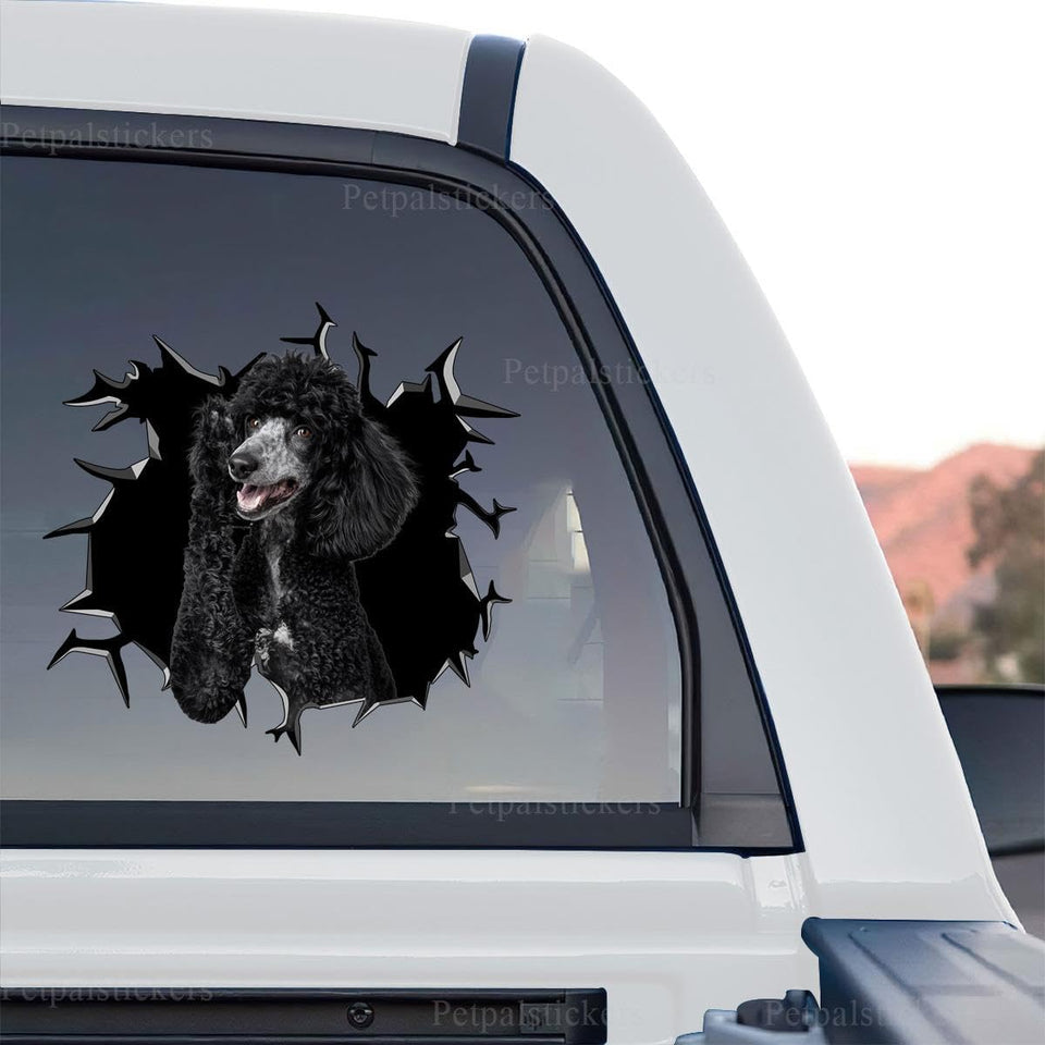 Clear vinyl Black Poodle decal graphic in a standalone product design layout.