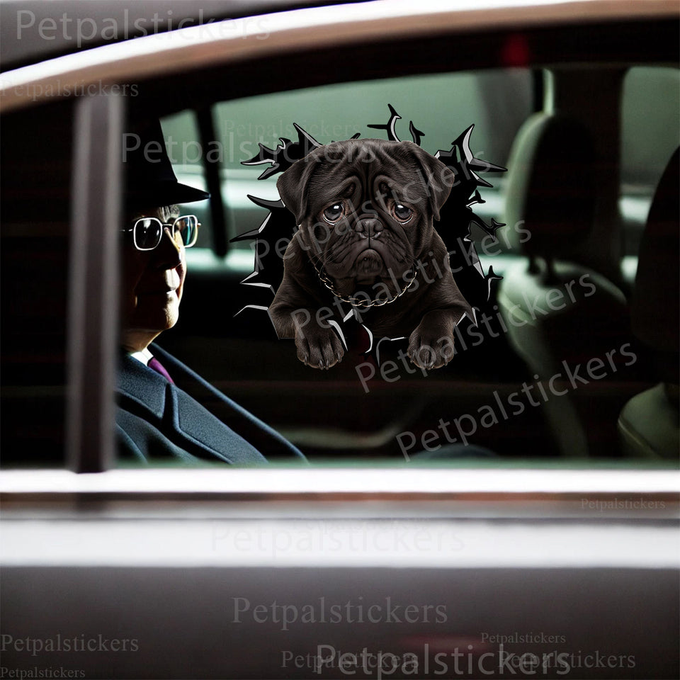Vibrant Black Pug vinyl decal displayed on the glossy exterior car door.