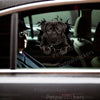 Vibrant Black Pug vinyl decal displayed on the glossy exterior car door.