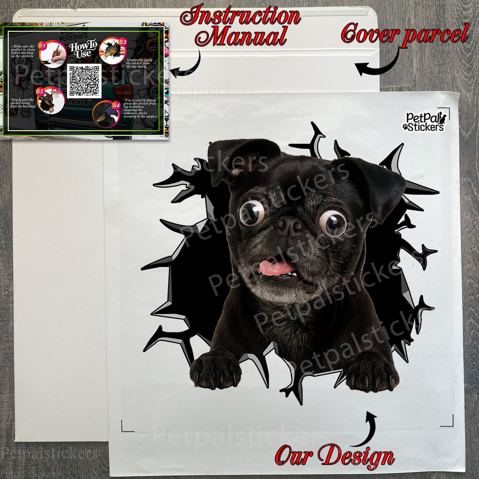 Unboxed Black Pug decal sheet next to its sturdy protective mailer package.