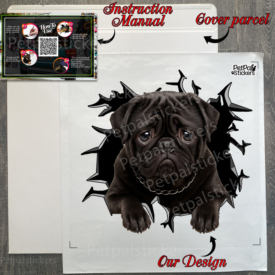 Unboxed Black Pug decal sheet showing the protective secure retail package.