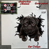 Unboxed Black Pug decal sheet showing the protective secure retail package.