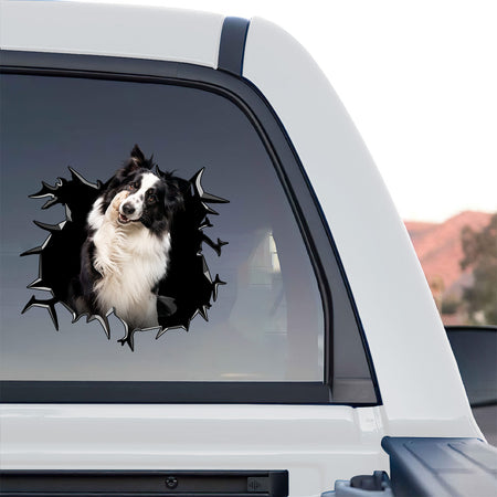 Humorous Border Collie graphic sticker positioned playfully on the surface of a toilet.