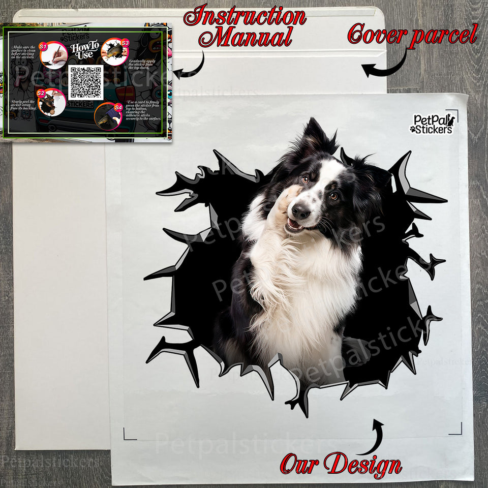 Protective cardboard package holding the glossy Border Collie vinyl decal with instructions.