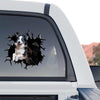 Eye-catching Border Collie vinyl sticker adhered to the rear window of a truck.