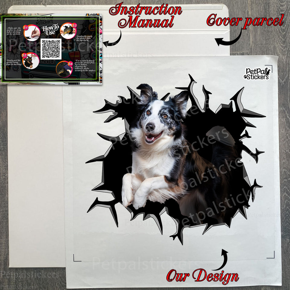 Protective cardboard package containing the ready-to-apply Border Collie decal.