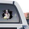 Glossy Border Collie window sticker applied to the back glass of a truck.