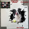 Carefully wrapped Border Collie decal package complete with step-by-step instructions.