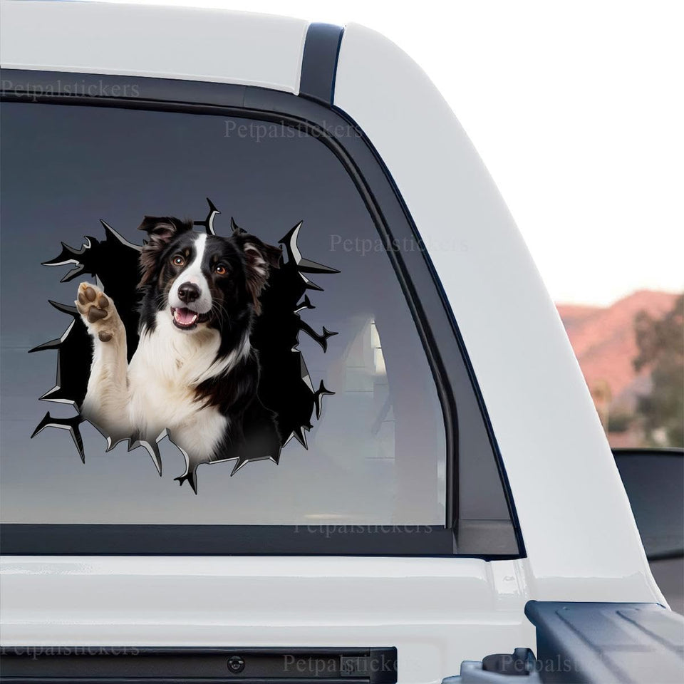 Vibrant Border Collie sticker artwork shown as a standalone product design on white.