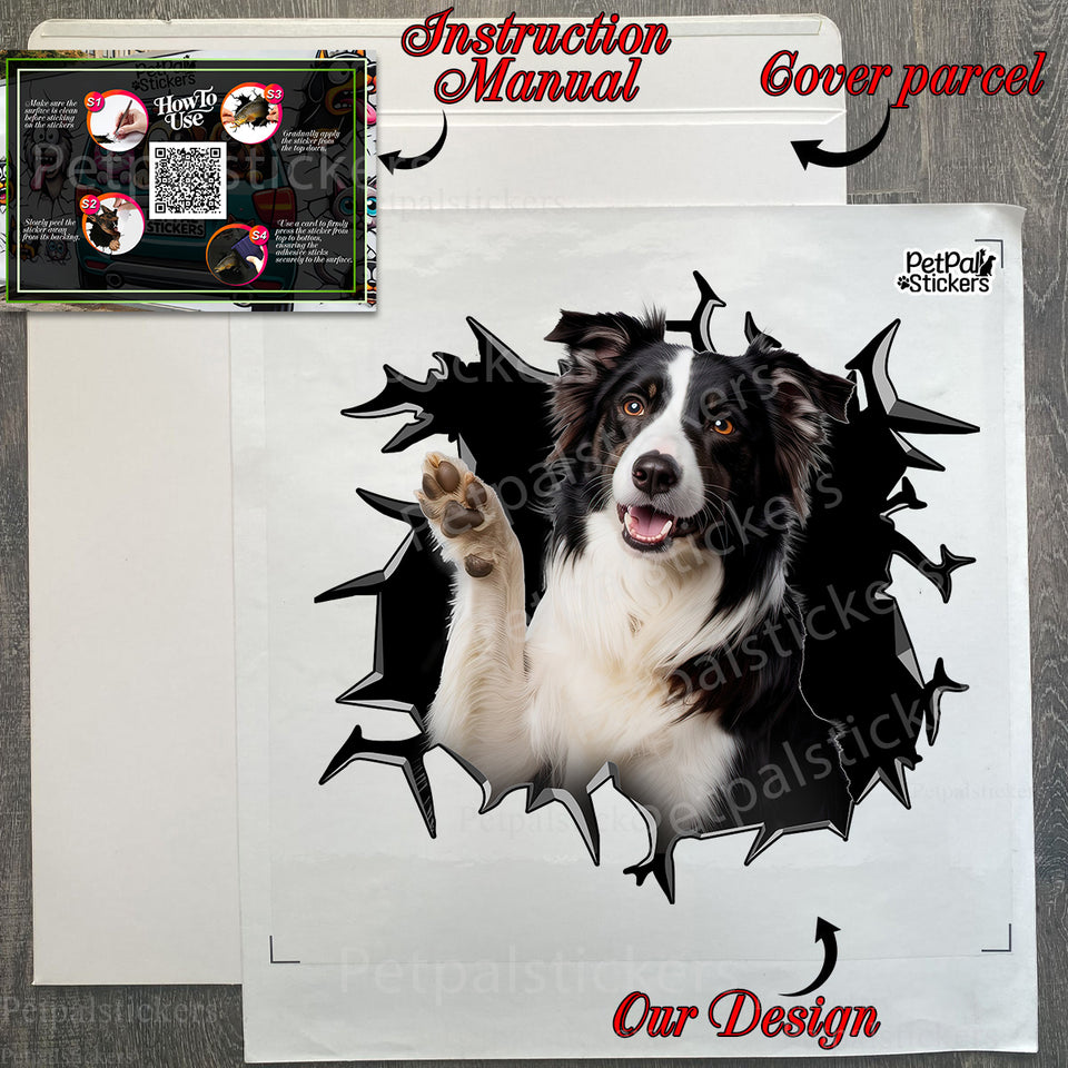 Unboxed Border Collie decal sheet displayed next to protective shipping package materials.