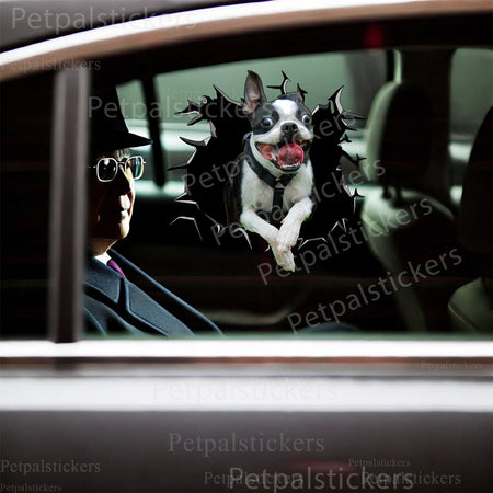 Playful Boston Terrier waterproof sticker brightening up the smooth lid of a toilet.