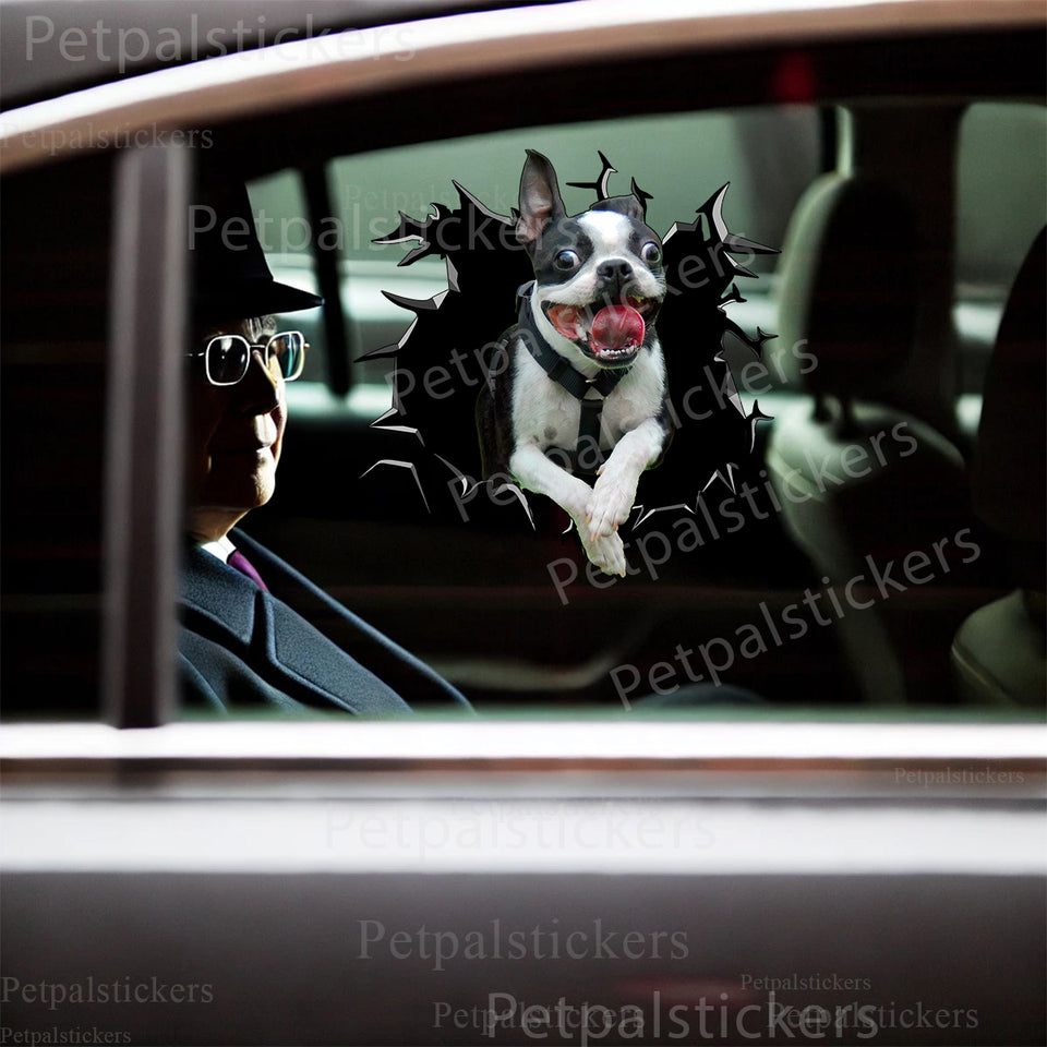 Vibrant Boston Terrier graphic decal applied smoothly onto an exterior car door surface.