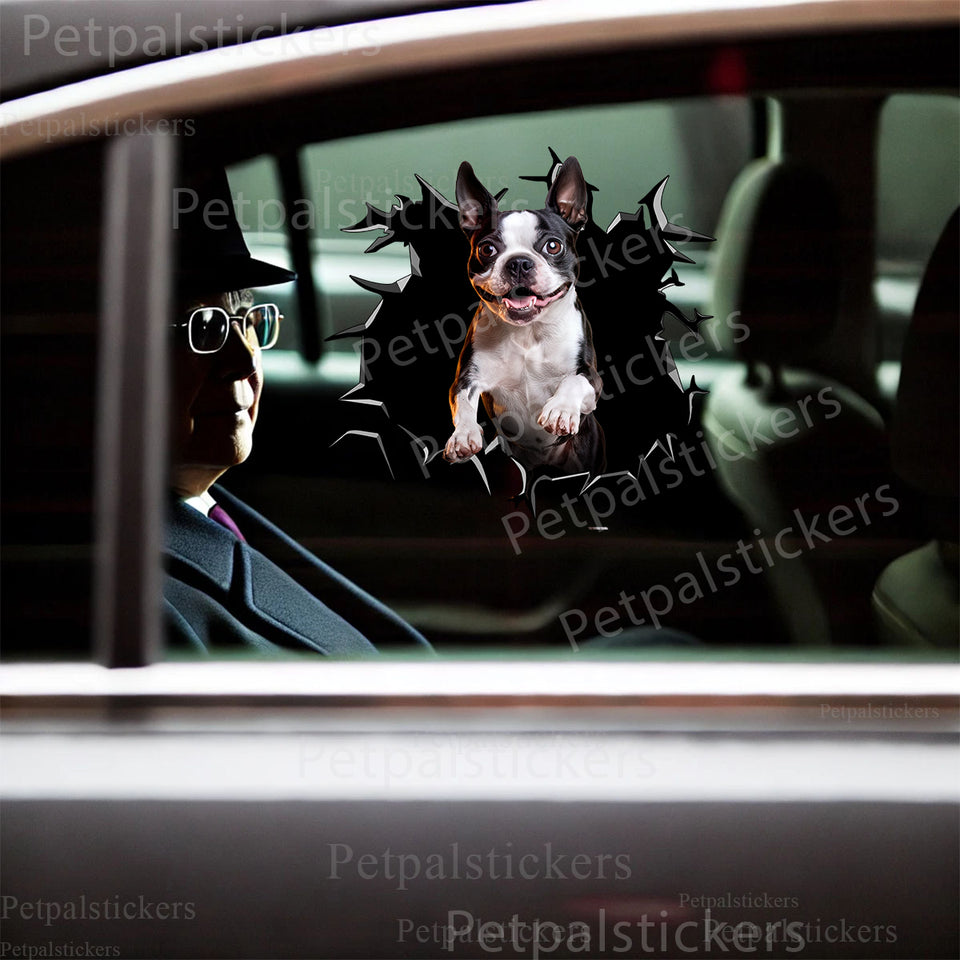 Adhesive Boston Terrier graphic installed cleanly on a car door for a charming custom vehicle look.