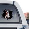 Playful Boston Terrier pet sticker displayed across the tinted rear glass of a truck outdoors.