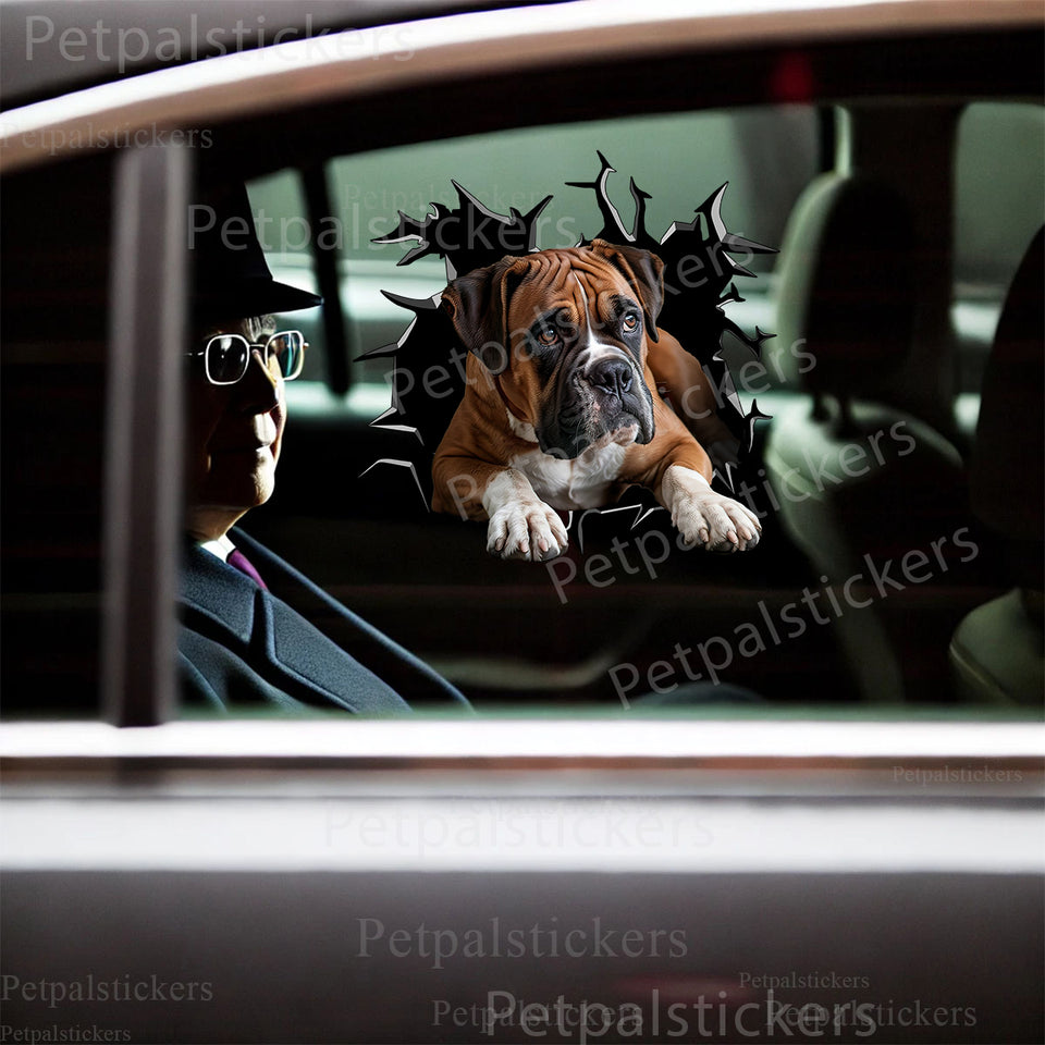 Clear gloss Boxer   And pet sticker adhered smoothly to a white car door.