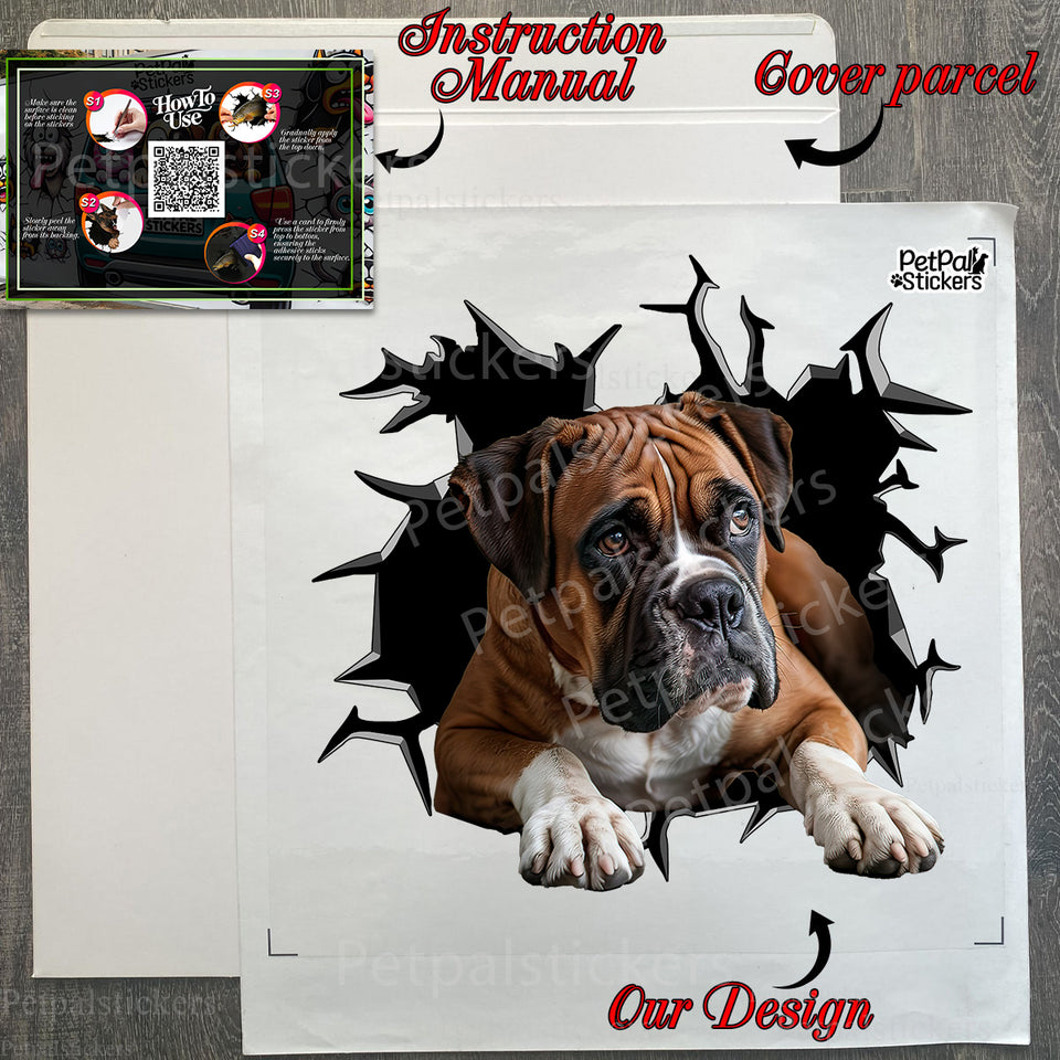 Delivered Boxer   And car sticker secure in its protective mailer package.