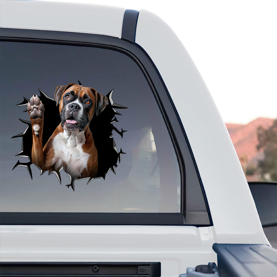 Vibrant Boxer sticker displayed clearly on the rear window of a truck.