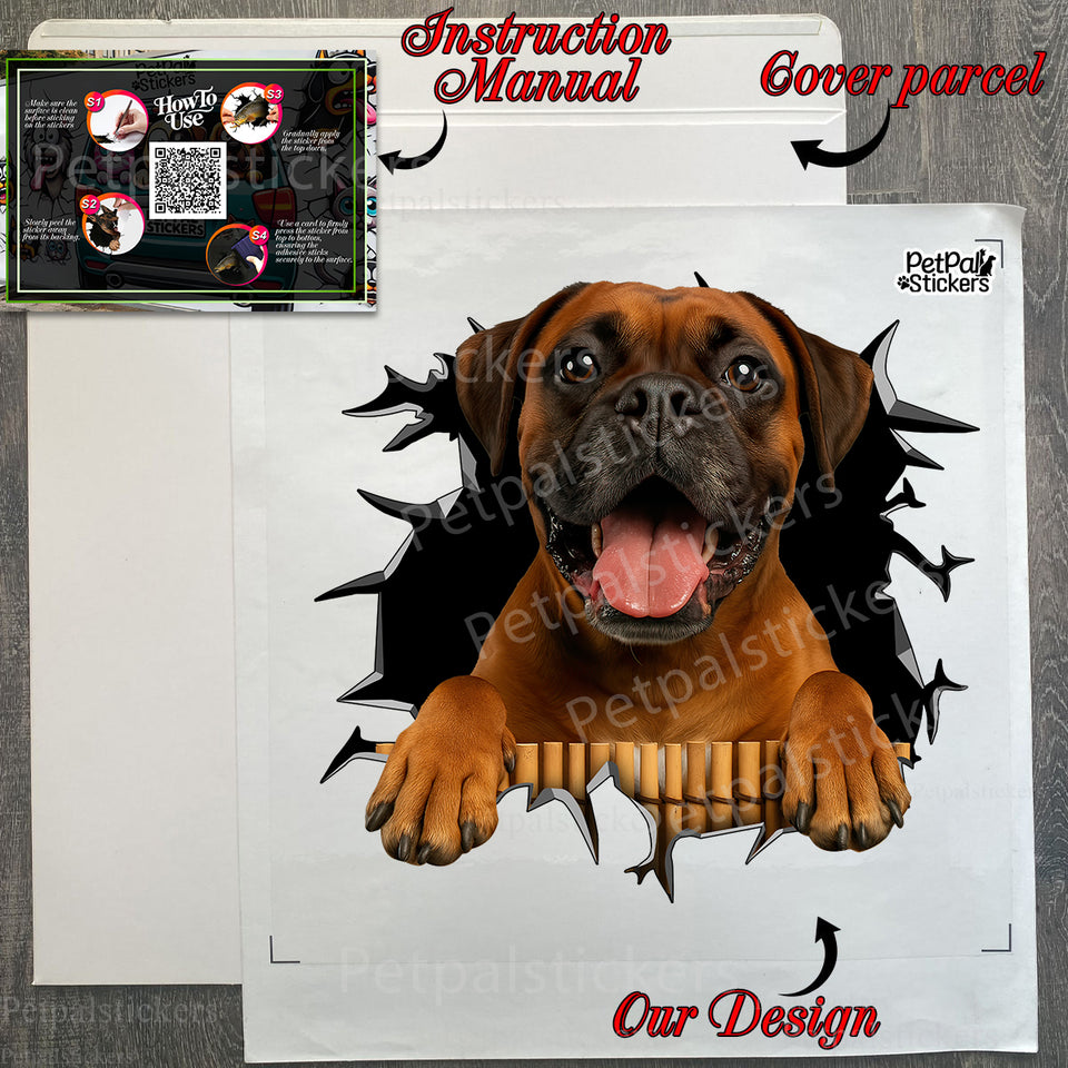 Protective package envelope holding the Boxer decal along with guide instructions.