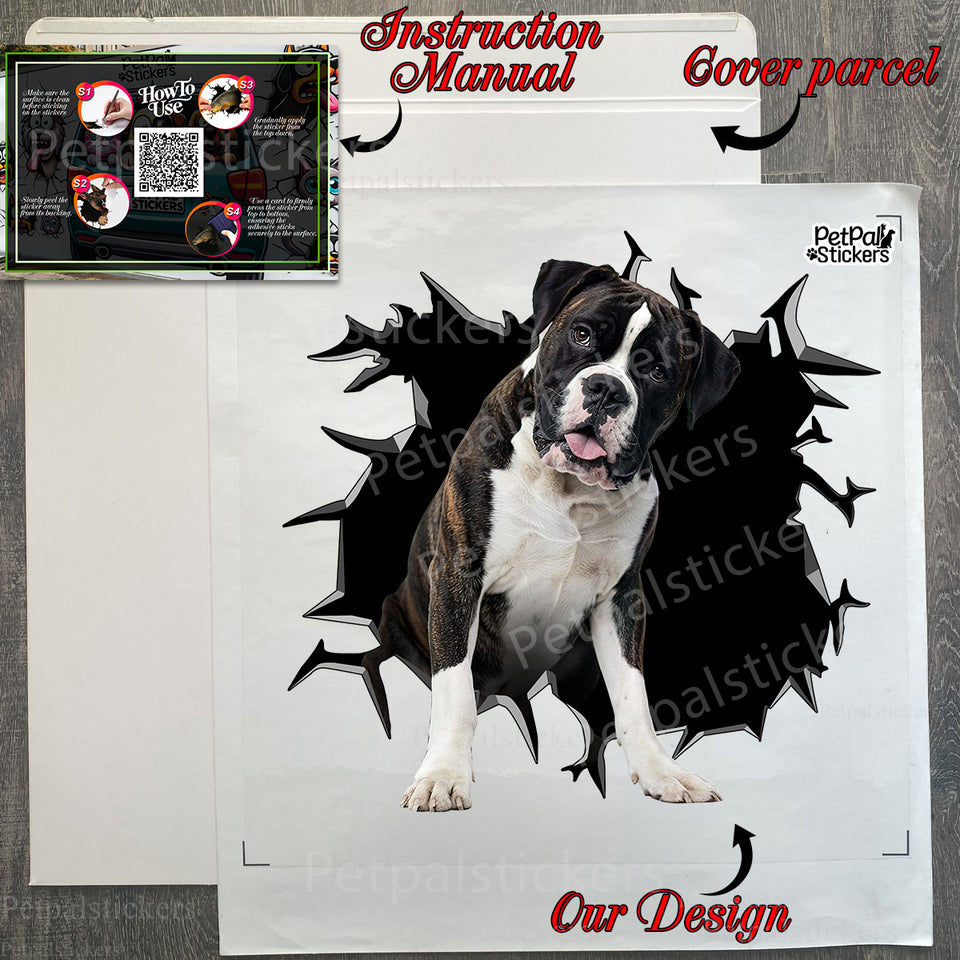 Carefully packed Boxer Dog decal sheet inside its protective shipping package.