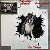 Carefully packed Boxer Dog decal sheet inside its protective shipping package.