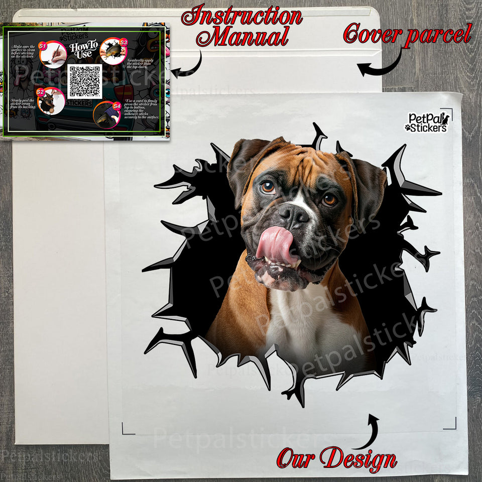Boxer dog decal sitting neatly on a protective product package alongside detailed instructions.