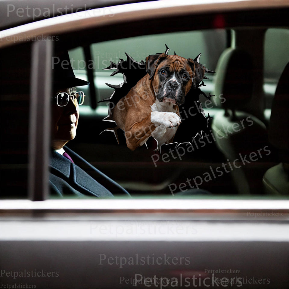 Vibrant Boxer Dog graphic decal displayed cleanly on a white car door exterior.