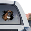 Detailed Boxer Dog window sticker applied to the rear glass of a truck outdoors.