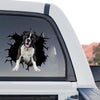 Clear standalone product design showing the expressive face of a Boxer dog.