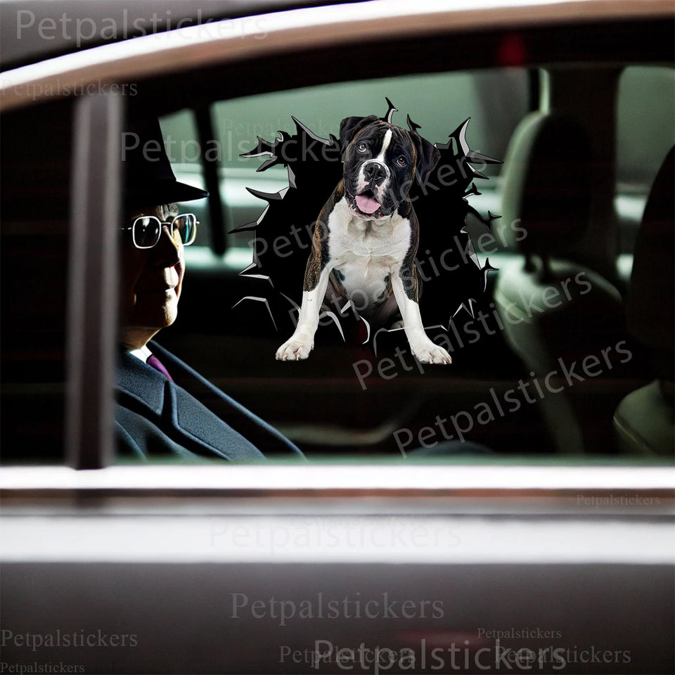 Glossy Boxer dog graphic decal cleanly applied onto an exterior car door.