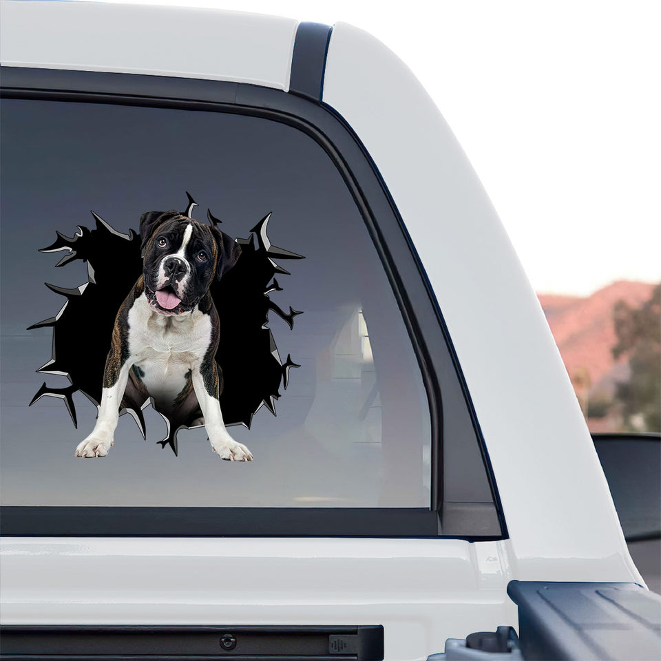 Detailed Boxer vinyl decal decorating the rear window of a truck outdoors.