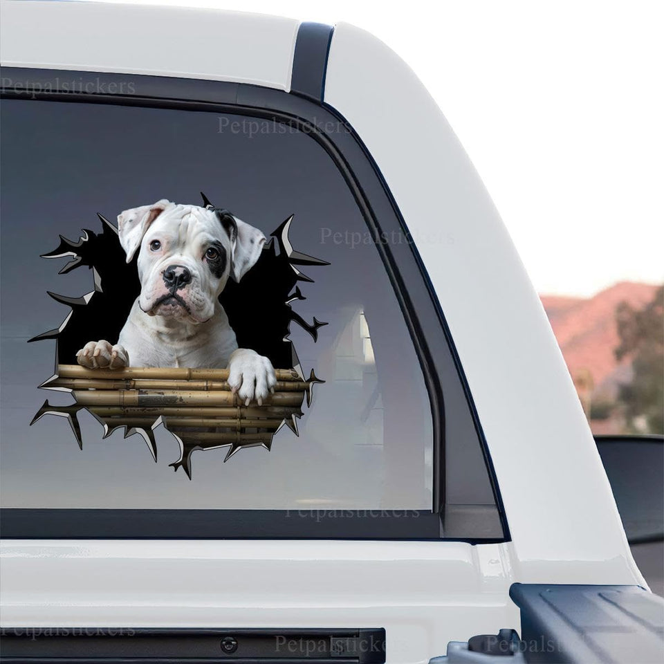Detailed Boxer Dog graphic decal showcasing the standalone product design on a transparent vinyl background.