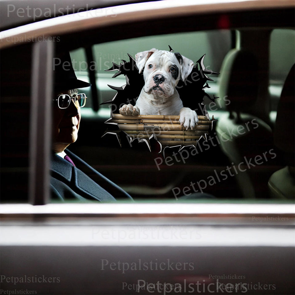Vibrant Boxer Dog sticker applied smoothly to the exterior car door of a modern passenger vehicle.