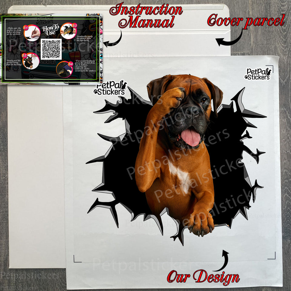 Secure retail package containing the Boxer car sticker with included application guide.
