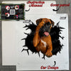 Secure retail package containing the Boxer car sticker with included application guide.