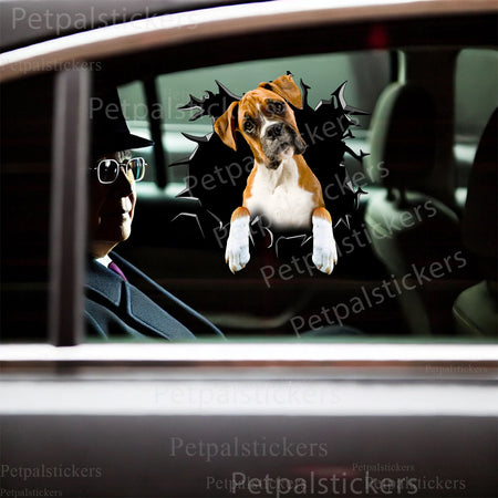 Humorous Boxer dog art sticker placed on the smooth surface of a home toilet lid.