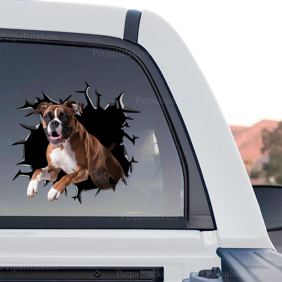 Detailed standalone product design showing a Boxer dog peering through realistic cracked glass.
