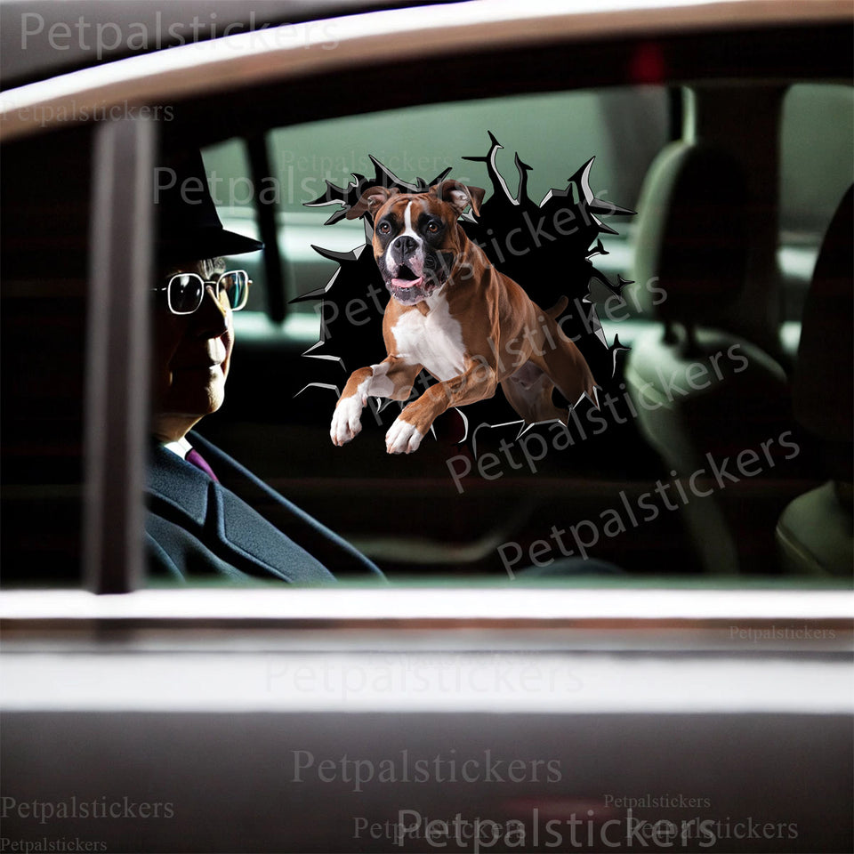 Glossy Boxer vinyl sticker applied smoothly onto a car door exterior surface.