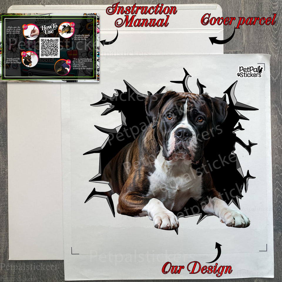 Printed decal presentation and protective package showing application sheet.