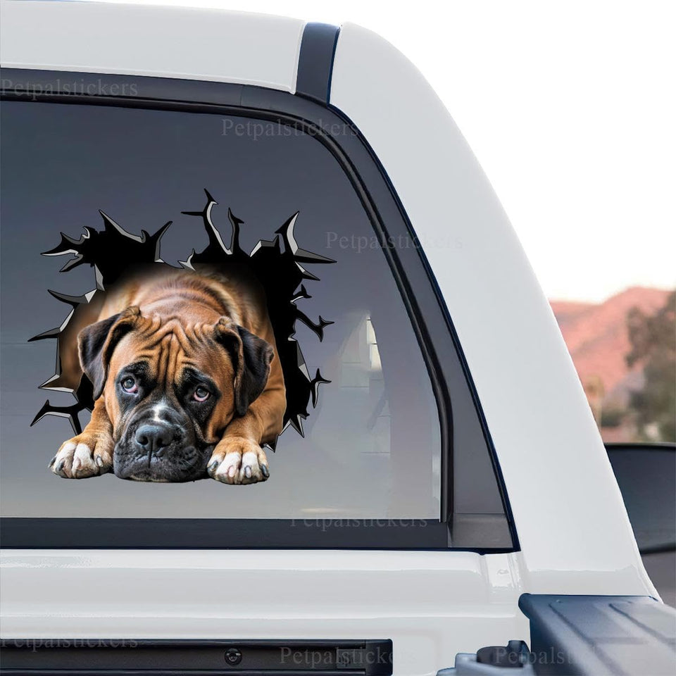 Vibrant Boxer Pitbull graphic artwork shown as a standalone product design.