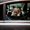 Glossy Boxer Pitbull vinyl sticker neatly adhered to an automobile car door.