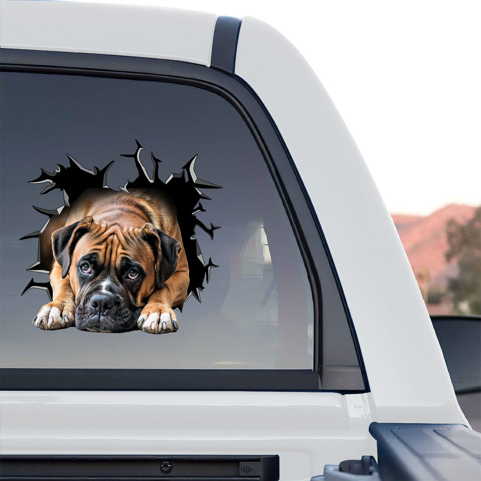 Weatherproof dog decal applied smoothly onto the rear tinted window of a truck.