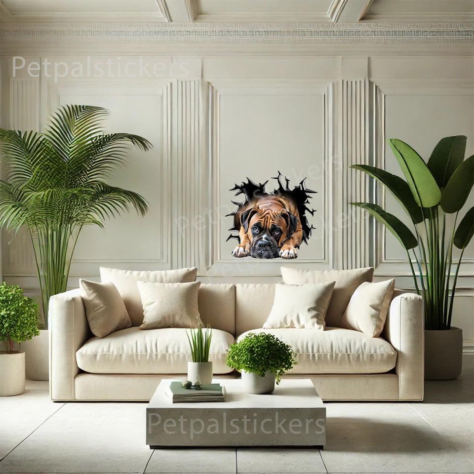Clear vinyl Boxer Pitbull pet art displayed cleanly on a smooth interior wall.
