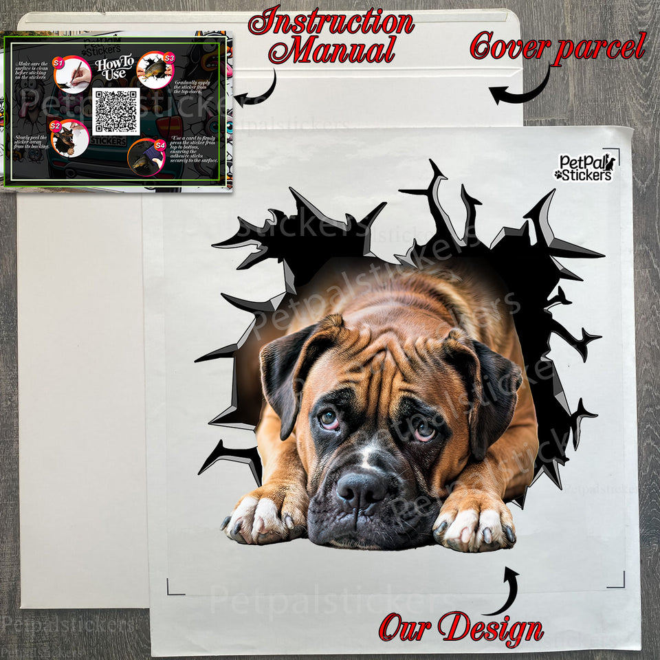 Carefully prepared package containing the Boxer Pitbull decal and instructions.