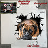 Carefully prepared package containing the Boxer Pitbull decal and instructions.