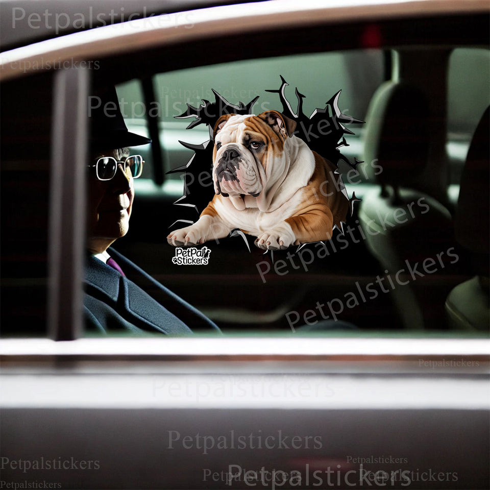 Cute British Bulldog sticker styled on the smooth car door of a white family sedan.