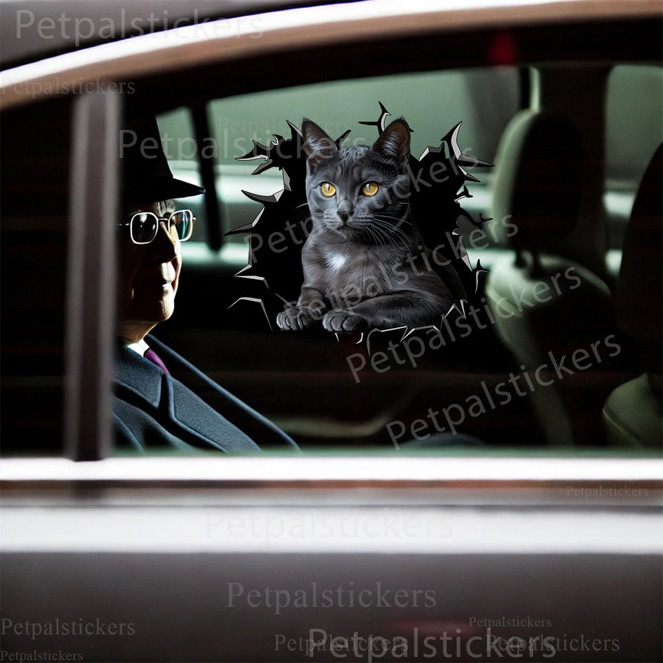 Vibrant British Shorthair Cat decal displayed on a clean vehicle car door.